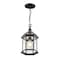 Z-Lite Annex 1 Light Outdoor Chain, Black & Clear Beveled 563CHM-BK - alternate 2